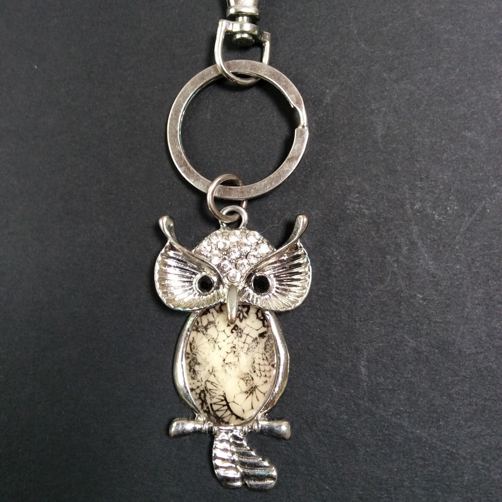 Unique Owl Key Chain